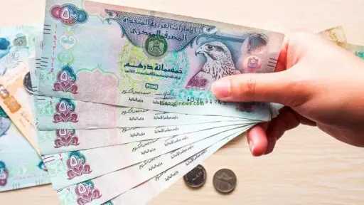 استقرار سعر الدرهم الإماراتي أمام...