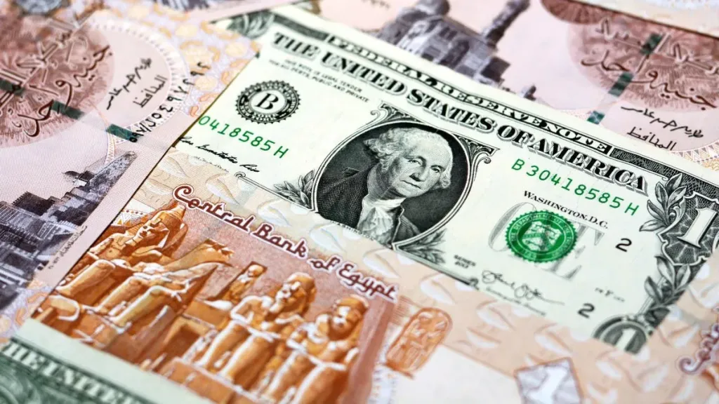 سعر الدولار اليوم في مصر